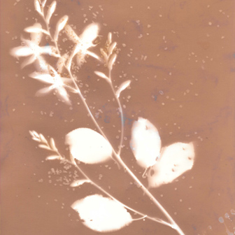 Exposición Alquimista de soños